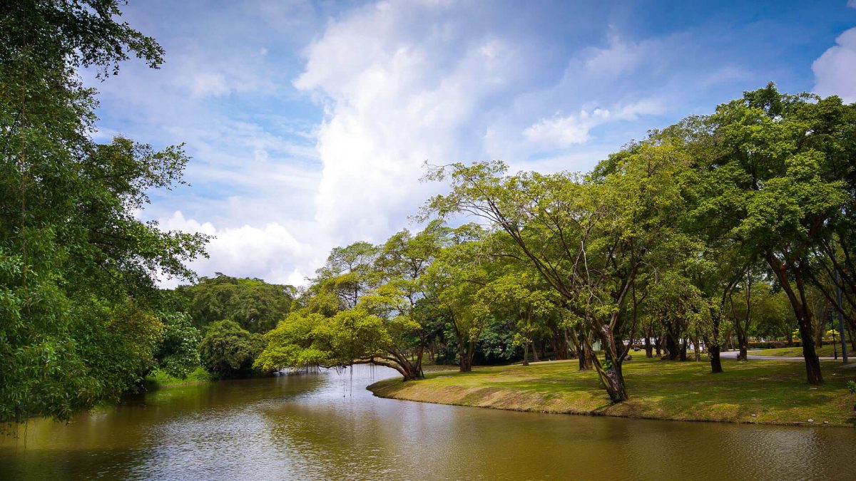 The Lake at Jurong Lake Gardens, Singapore