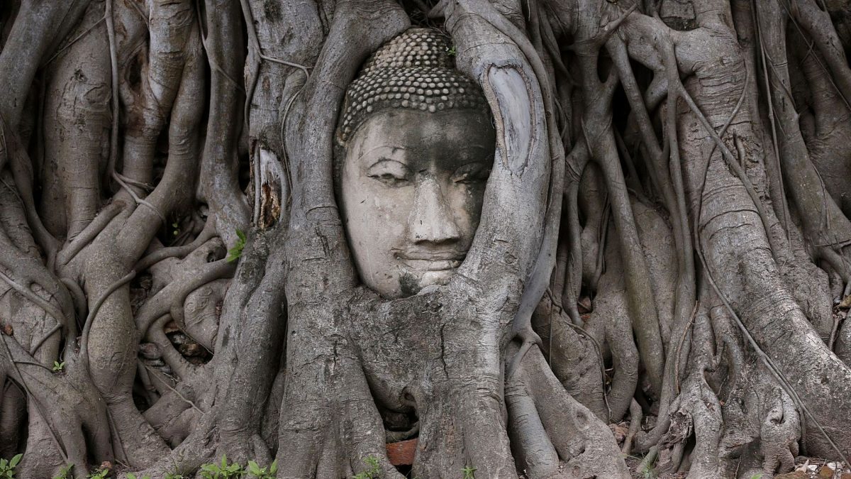 Buddha Head In Roots at Wat Mahathat, Ayutthaya